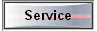  Service 